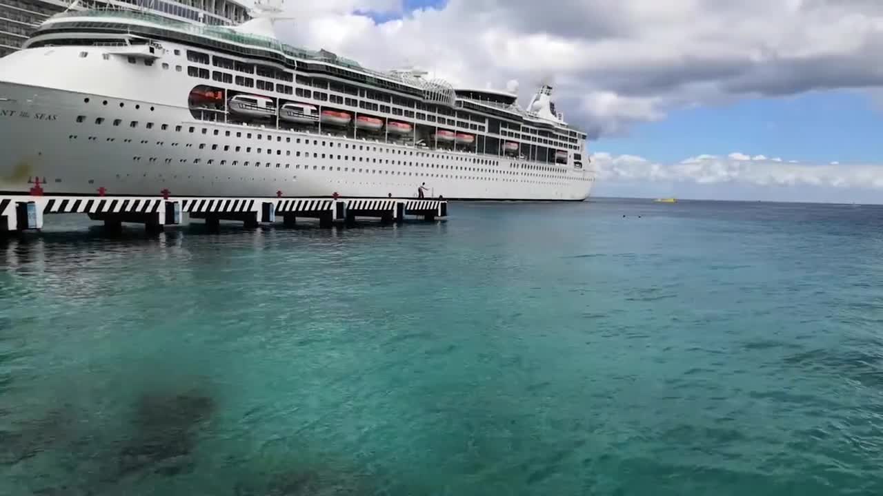Ejercicio de simulación y prácticas de protección maritima en terminales de cruceros