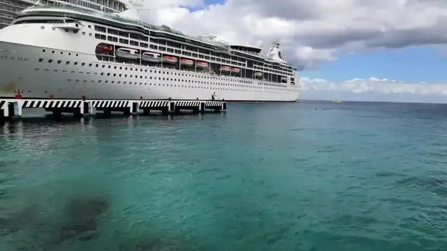 Ejercicio de simulación y prácticas de protección maritima en terminales de cruceros